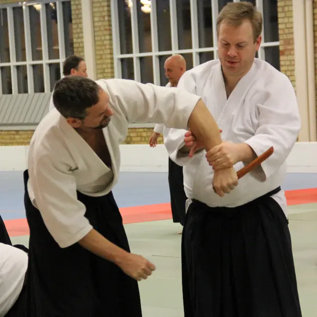 Johan Ahlberg in action